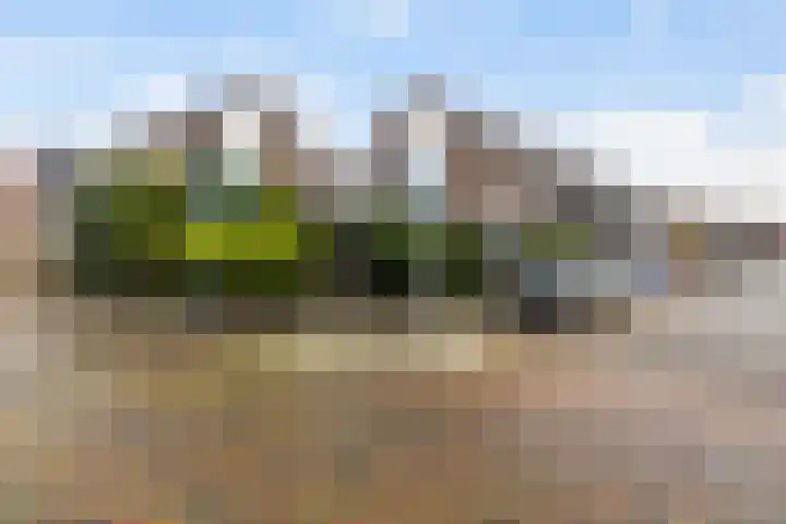 Frans Halsstraat 46 Woerden thumbnail 8