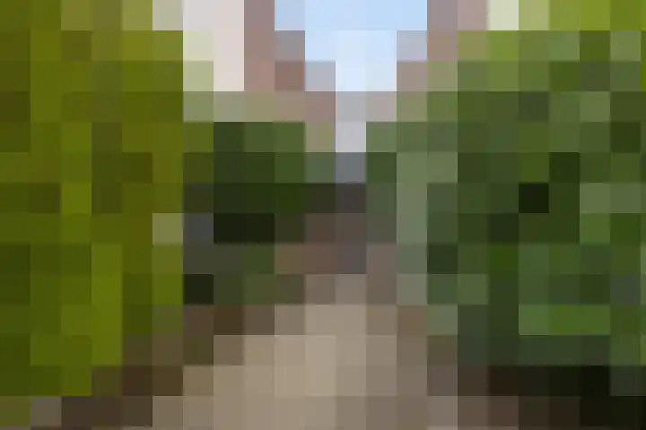 Frans Halsstraat 46 Woerden thumbnail 9