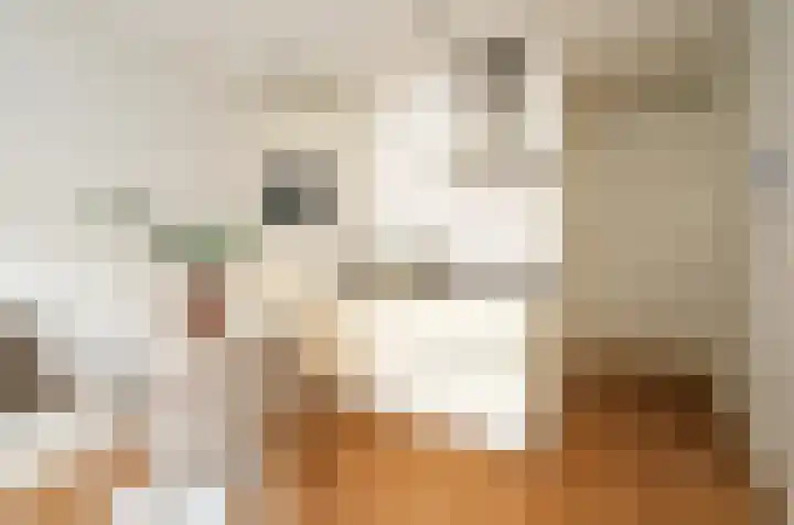 Frans Halsstraat 57 E Amsterdam foto 3