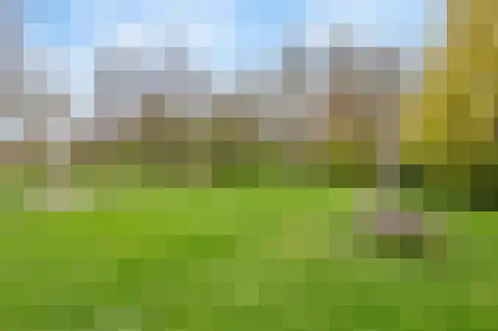 Frans Halsstraat 59 Lisse thumbnail 37