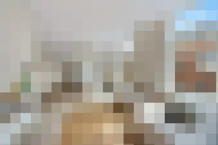 Frans Halsstraat 63 B Haarlem thumbnail 39