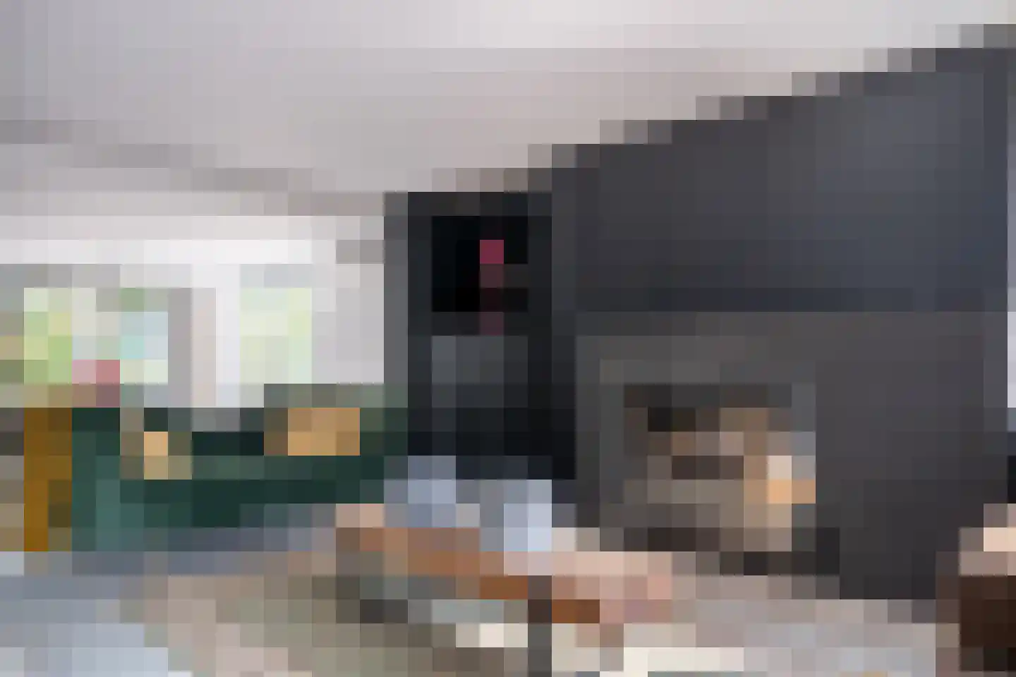Frans Halsstraat 8 Kerkrade thumbnail 9