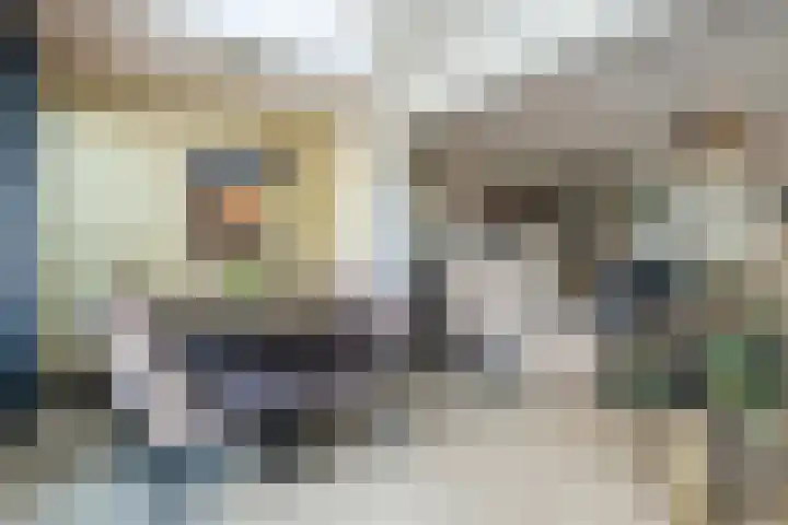 Frans Halsstraat 8 Lisse thumbnail 15