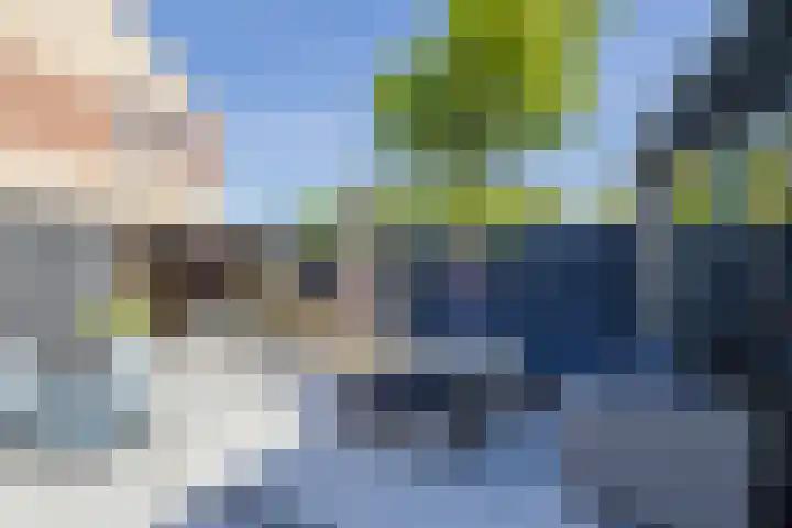 Frans Halsstraat 8 Lisse thumbnail 16
