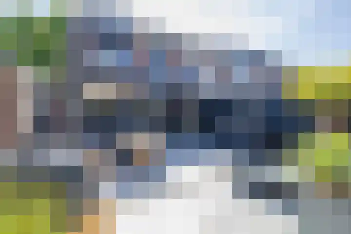Frans Halsstraat 8 Lisse thumbnail 17