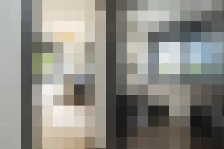 Frans Halsstraat 8 Lisse thumbnail 24