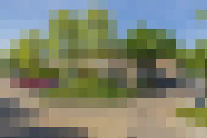 Frans Halsstraat 8 Lisse thumbnail 32