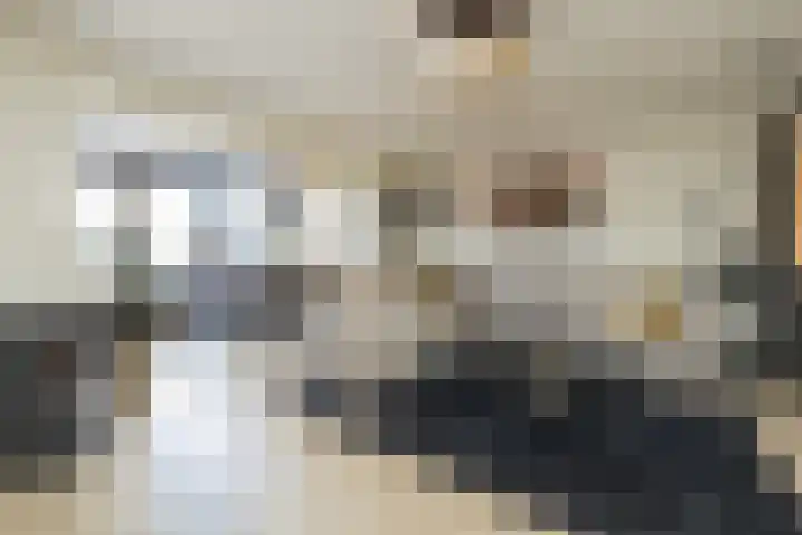 Frans Halsstraat 8 Lisse thumbnail 7