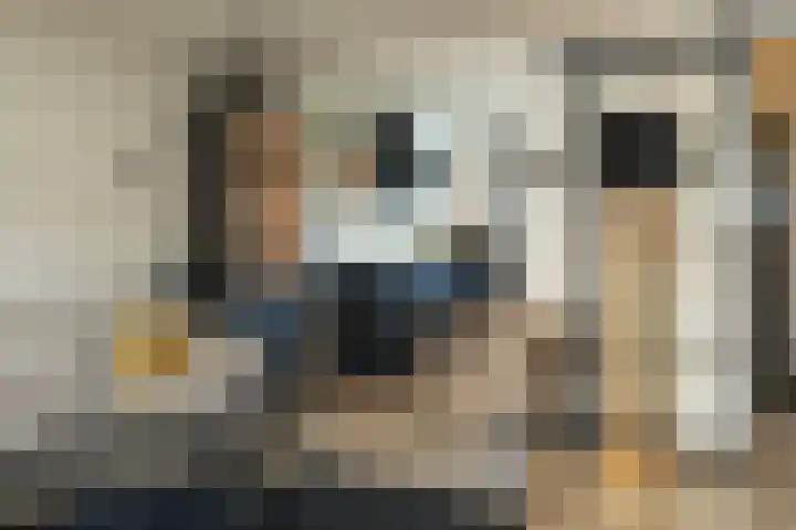 Frans Halsstraat 8 Lisse thumbnail 9