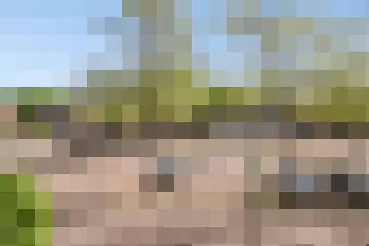 Frans Halsstraat 8 Vinkel thumbnail 32