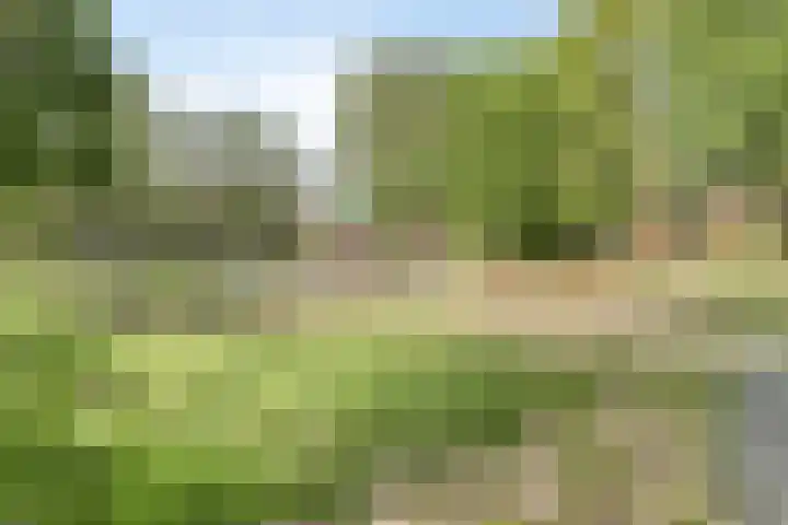 Frans Halsstraat 8 Vinkel thumbnail 33