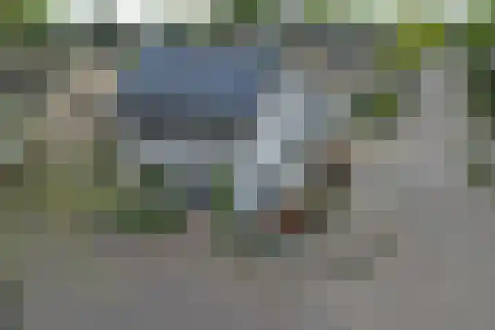 Frans Halsstraat 8 Vinkel thumbnail 36