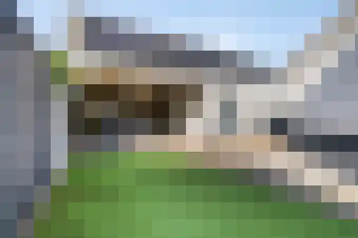 Frans Halsstraat 8 Vinkel thumbnail 4