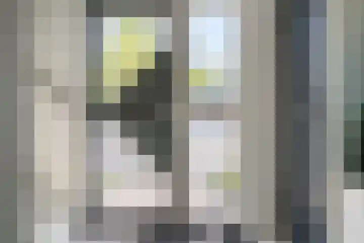 Frans Halsstraat 8 Vinkel thumbnail 7