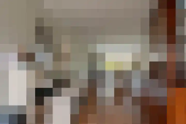 Frans Halsstraat 9 Ridderkerk thumbnail 12