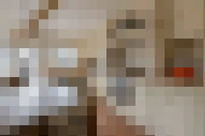 Frans Halsstraat 9 Ridderkerk thumbnail 13