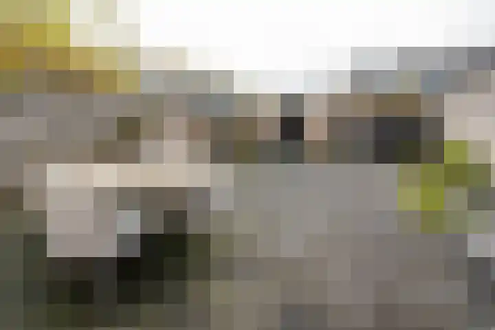 Frans Halsstraat 9 Ridderkerk thumbnail 15
