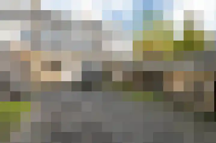 Frans Halsstraat 9 Ridderkerk thumbnail 16