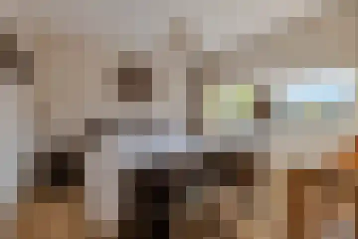 Frans Halsstraat 9 Ridderkerk thumbnail 19