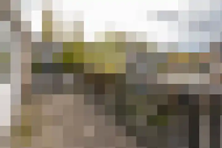 Frans Halsstraat 9 Ridderkerk thumbnail 20