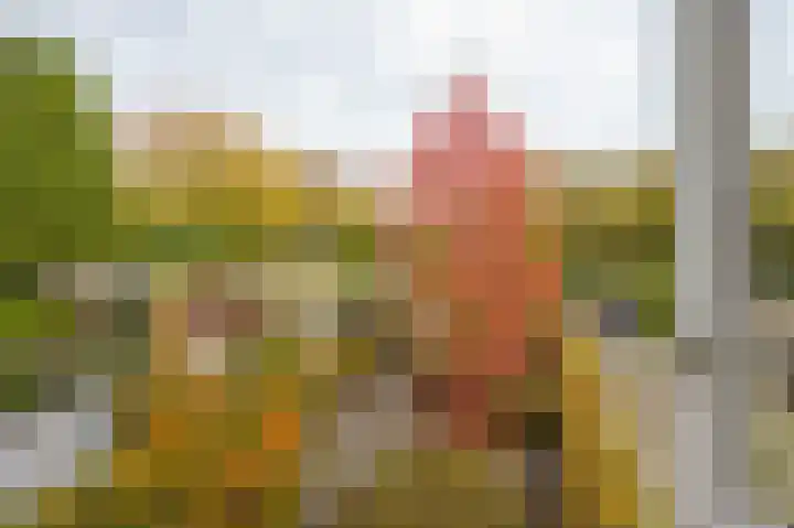 Frans Halsstraat 9 Ridderkerk thumbnail 25