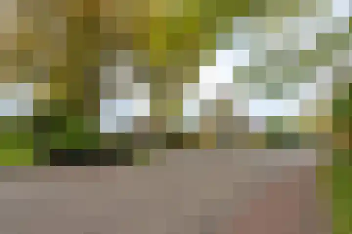 Frans Halsstraat 9 Ridderkerk thumbnail 33