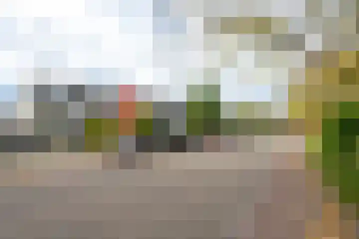 Frans Halsstraat 9 Ridderkerk thumbnail 6