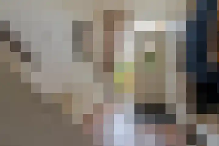 Frans Halsstraat 9 Ridderkerk thumbnail 8