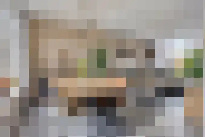 Frans Jansenstraat 5 Luyksgestel thumbnail 10