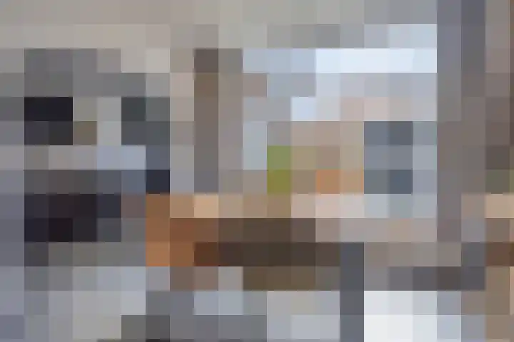 Frans Jansenstraat 5 Luyksgestel thumbnail 15
