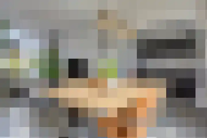 Frans Jansenstraat 5 Luyksgestel thumbnail 16