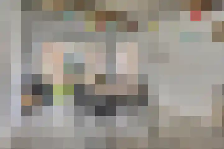 Frans Jansenstraat 5 Luyksgestel thumbnail 23