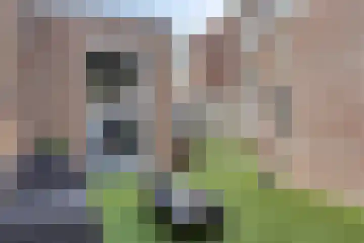 Frans Jansenstraat 5 Luyksgestel thumbnail 37