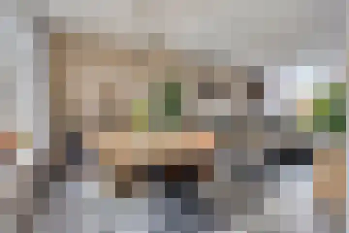 Frans Jansenstraat 5 Luyksgestel thumbnail 4