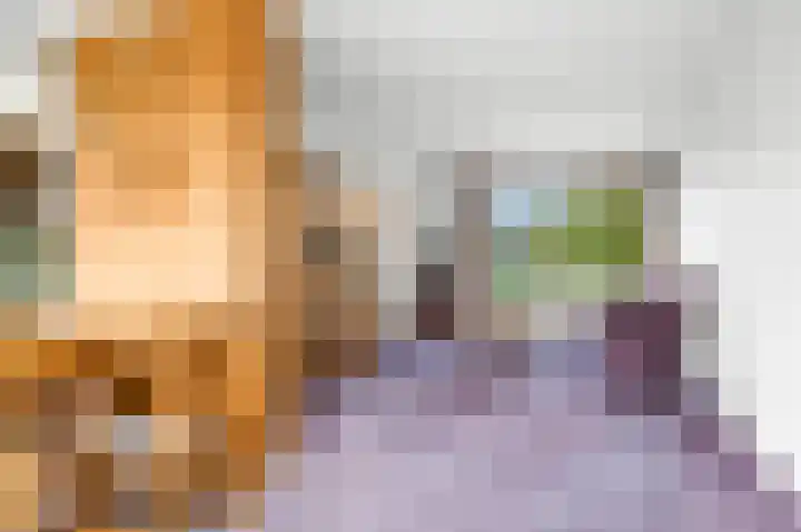 Frans van Mierisstraat 7 Deventer thumbnail 5