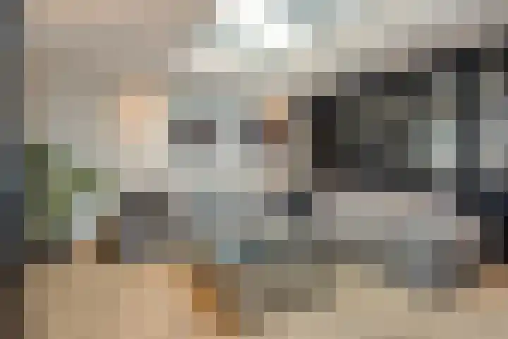 Fransebaan 430 Eindhoven thumbnail 12