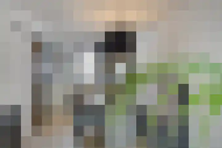 Fransebaan 430 Eindhoven thumbnail 24