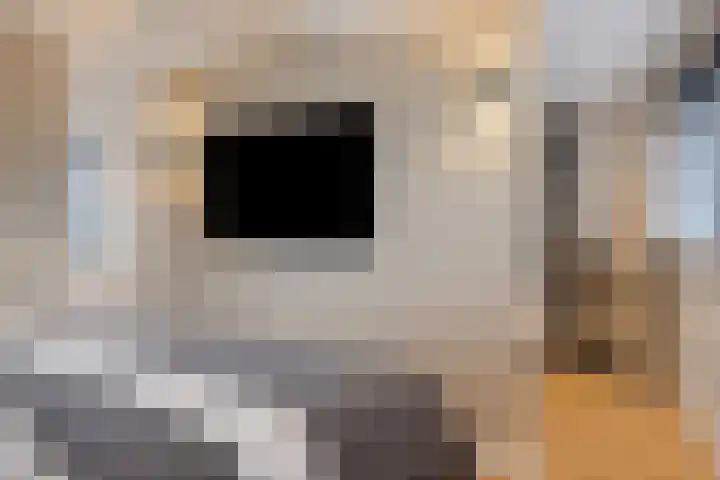 Fransebaan 430 Eindhoven thumbnail 38