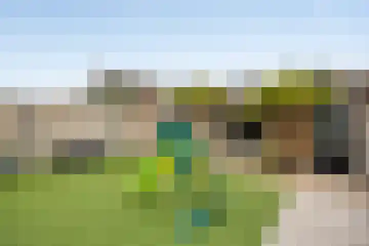 Fransebaan 430 Eindhoven thumbnail 49