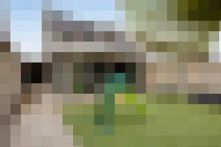Fransebaan 430 Eindhoven thumbnail 5