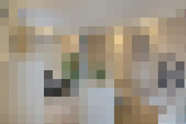 Fransebaan 430 Eindhoven thumbnail 56