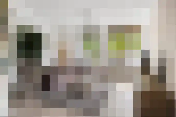Fransebaan 557 Eindhoven thumbnail 12