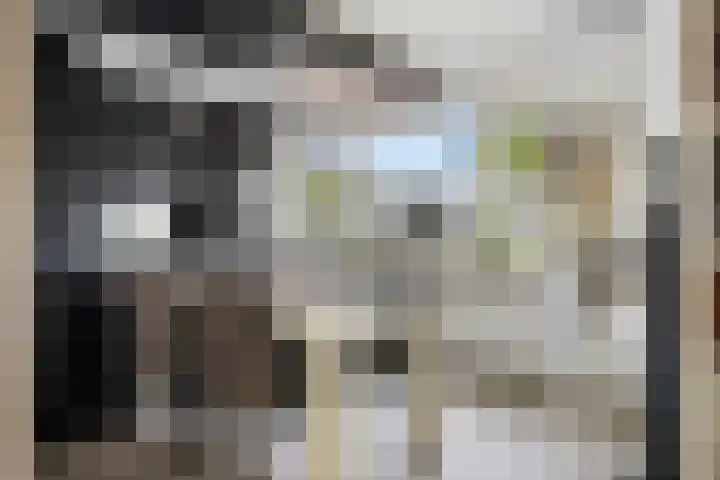 Fransebaan 557 Eindhoven thumbnail 15