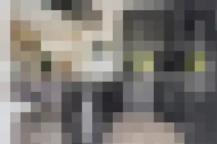 Fransebaan 557 Eindhoven thumbnail 17