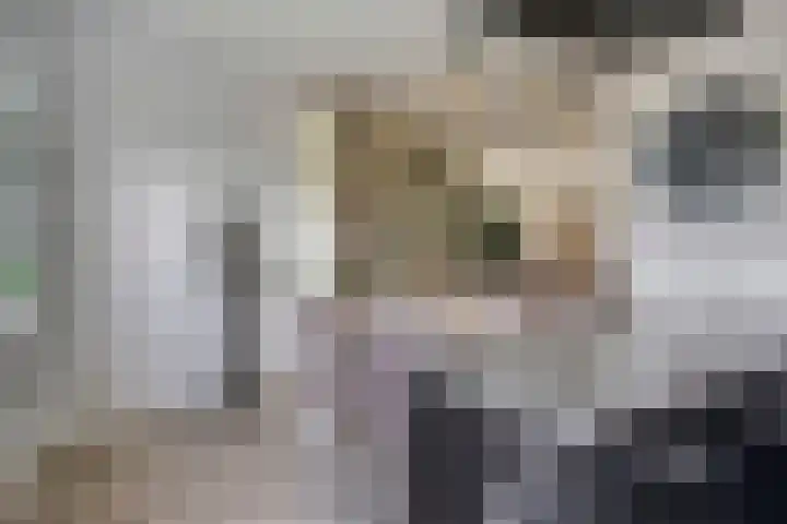 Fransebaan 557 Eindhoven thumbnail 18