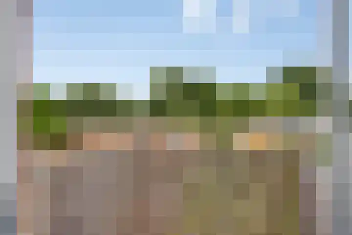 Fransebaan 557 Eindhoven thumbnail 20