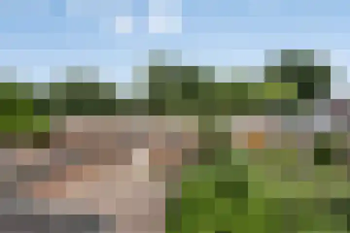 Fransebaan 557 Eindhoven thumbnail 21