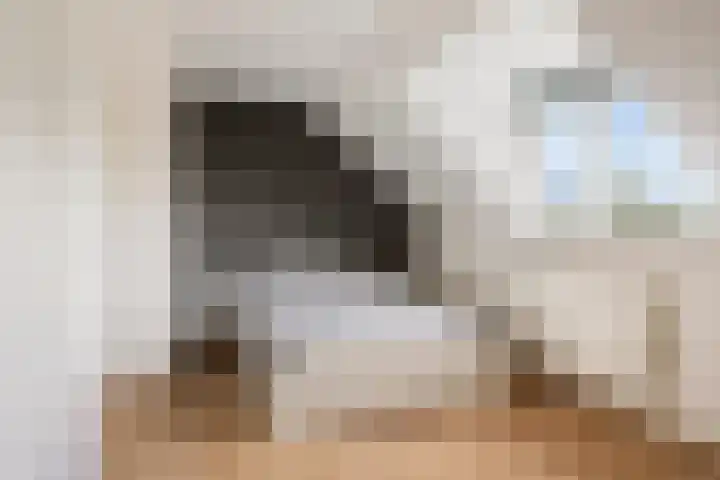 Fransebaan 557 Eindhoven thumbnail 25