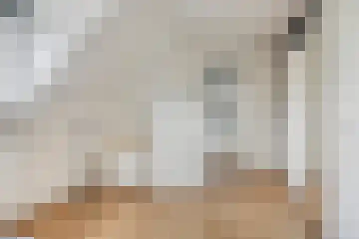Fransebaan 557 Eindhoven thumbnail 26