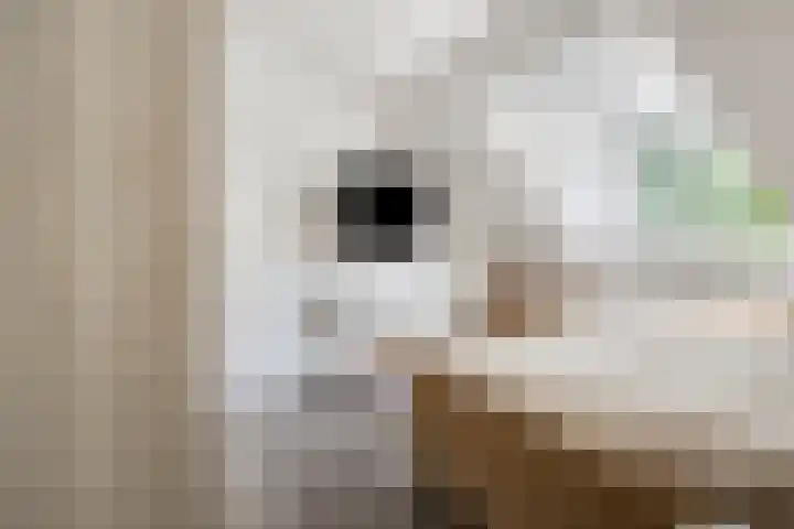 Fransebaan 557 Eindhoven thumbnail 29